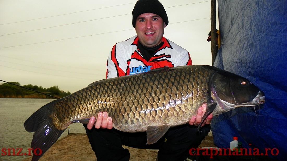 GREENFISH 2 - 1000461.jpg